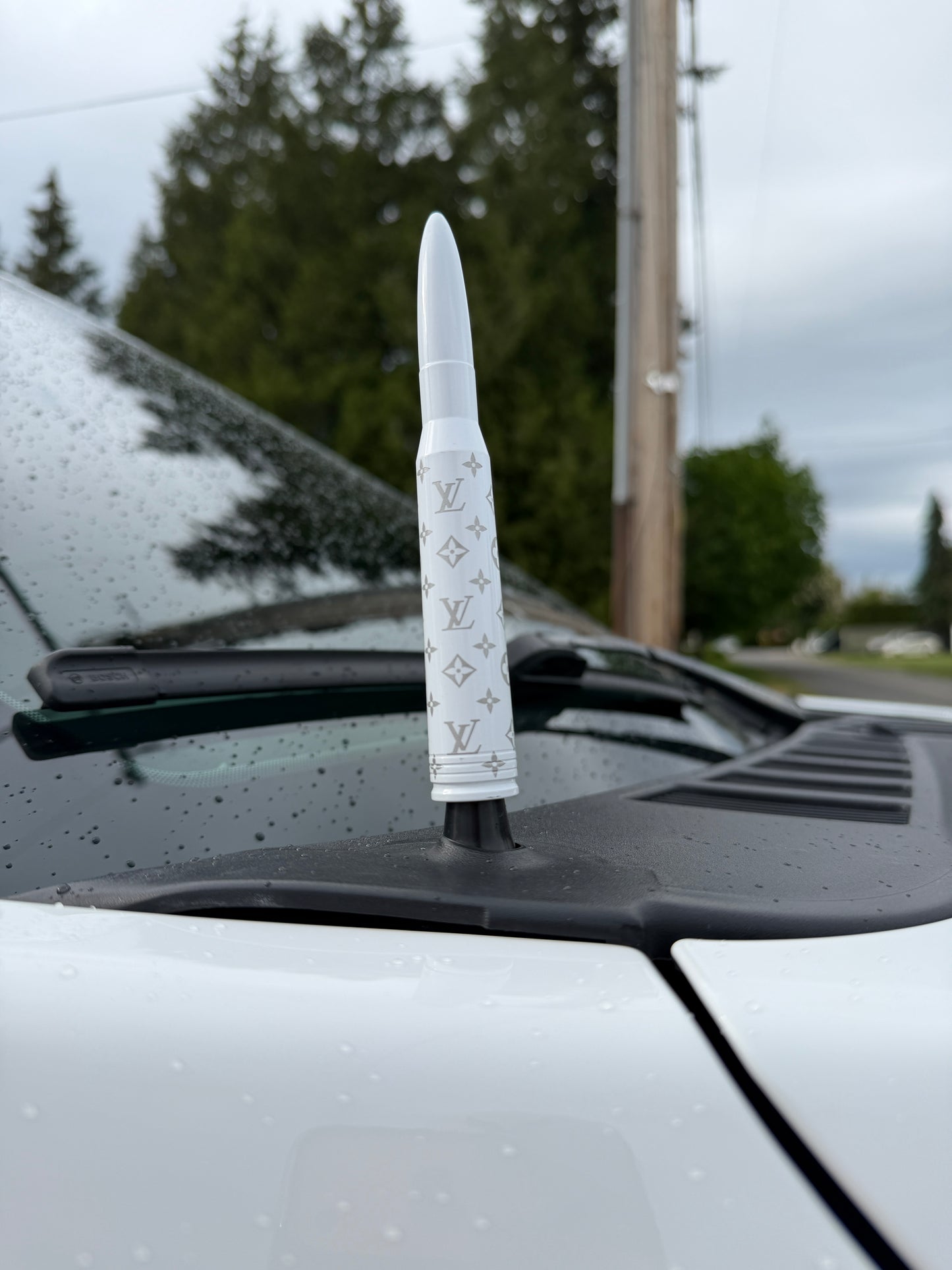 Engraved Bullet Antenna